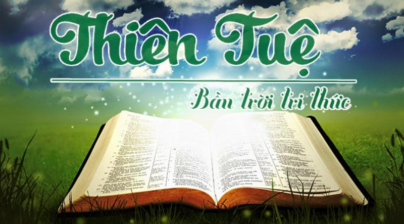 Tính phần trăm của 8 triệu