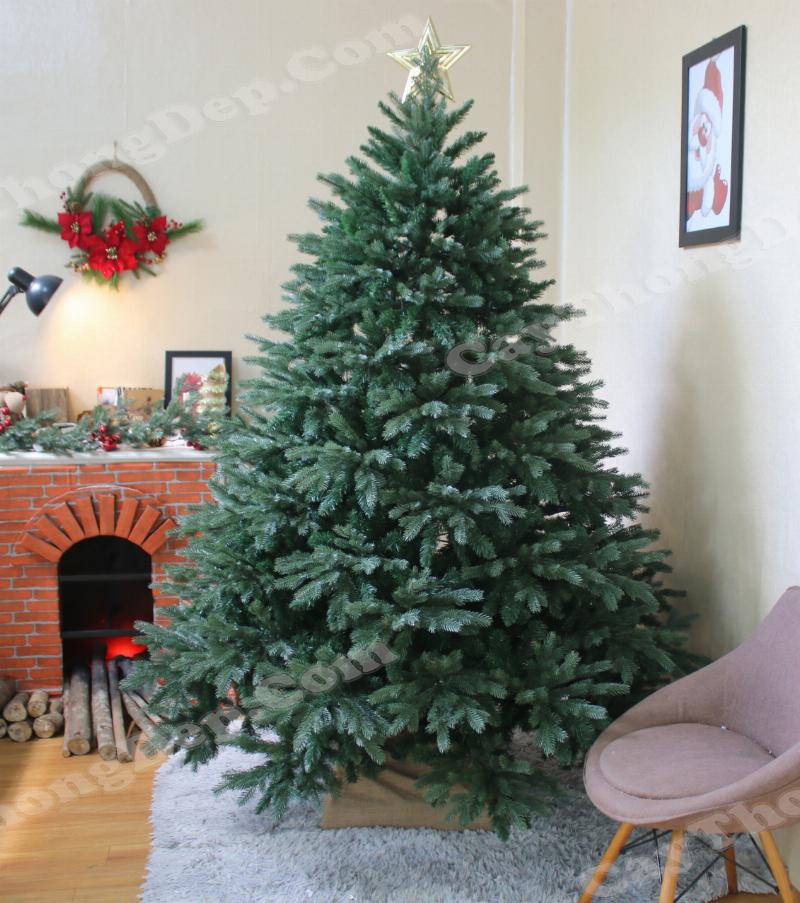 Trang trí cây thông Noel cho mùa Giáng sinh