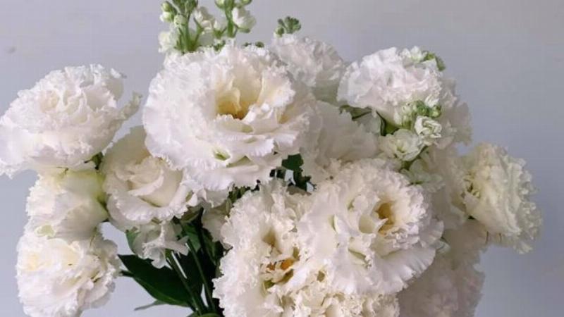 Tử Vi 12 Cung Hoàng Đạo Ngày Mai Thiên Tuệ 2 Tử vi Kim Ngưu ngày mai về tài chính