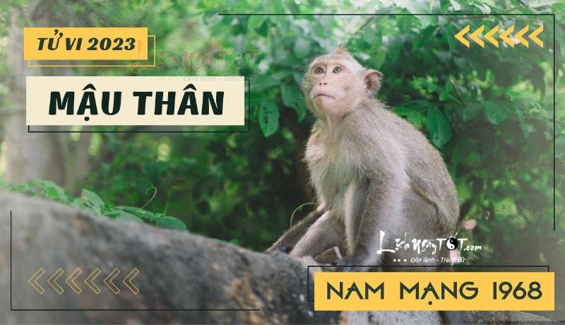Tử vi tuổi Mậu Thân 1968 nam mạng sự nghiệp năm 2023