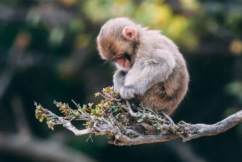 Sinh Năm 1992 Bao Nhiêu Tuổi? 4 Tử vi cho người sinh năm 1992