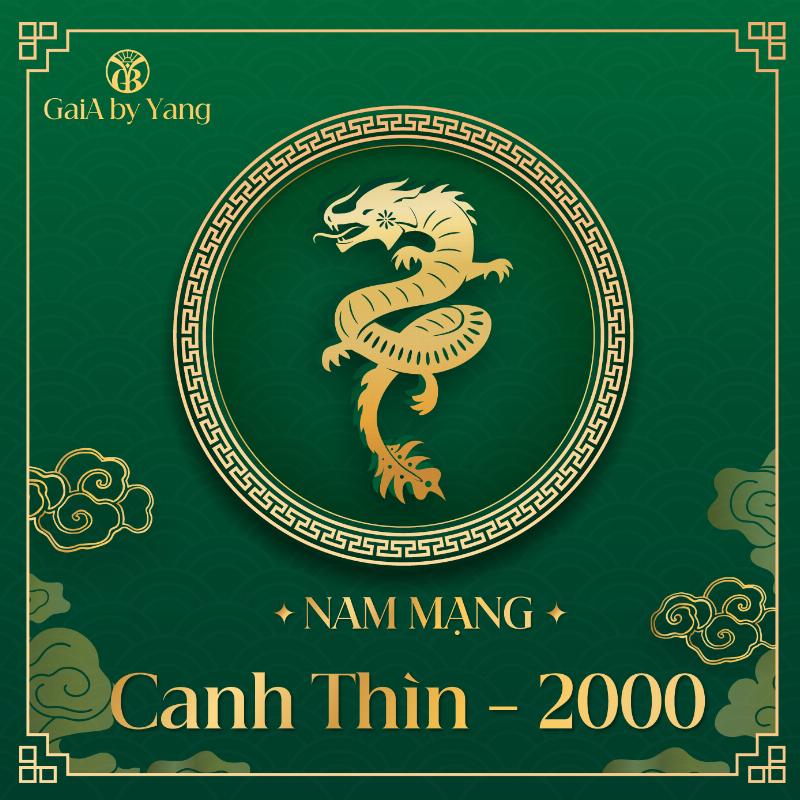 Tử Vi Tuổi Thìn 2000 Nam Mạng: Chi Tiết Nhất 4 Tử vi tuổi Thìn 2000 nam mạng tổng quan