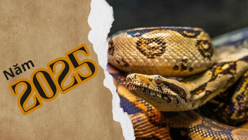 Tuổi âm và tuổi dương