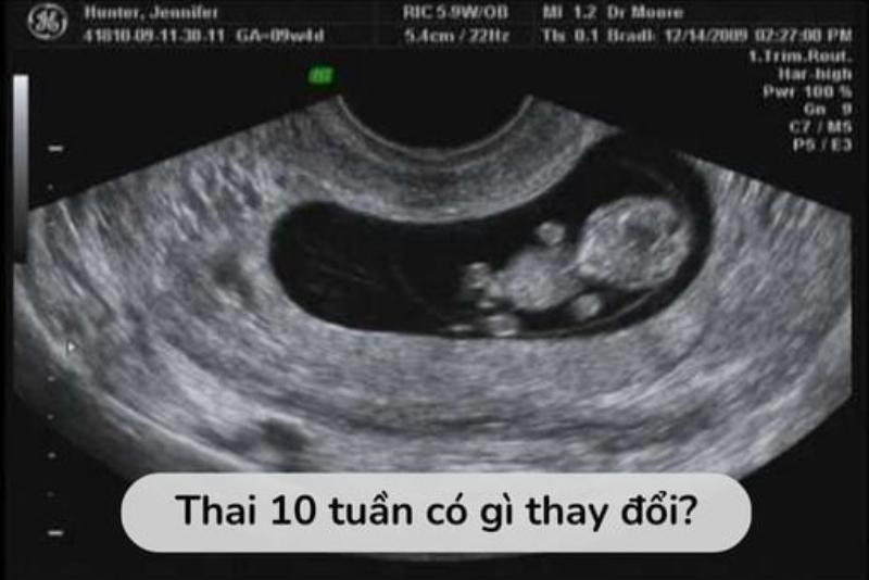 Xem Tuổi Con Hợp Với Bố Mẹ: Bí Quyết Hạnh Phúc Gia Đình 4 Lời khuyên cho cha mẹ khi xem tuổi con