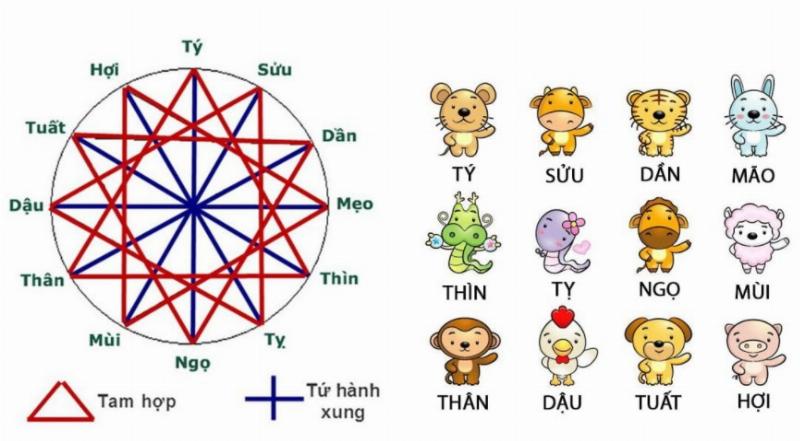 Xem Tuổi Con Hợp Với Bố Mẹ: Bí Quyết Hạnh Phúc Gia Đình 3 Tam hợp, tứ hành xung trong việc xem tuổi con