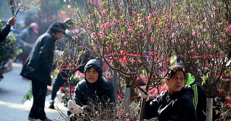 Xu hướng Tết Nguyên Đán 2025