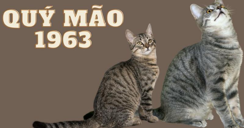 Chọn màu sắc phong thủy cho tuổi Quý Mão