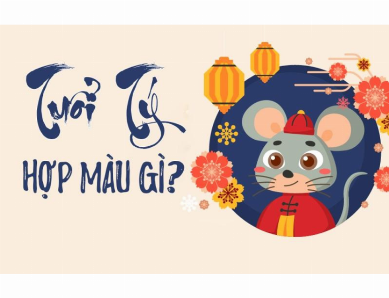 Tuổi Tý Hợp Với Màu Gì Năm 2025? 4 Chọn màu sắc phù hợp tuổi Tý