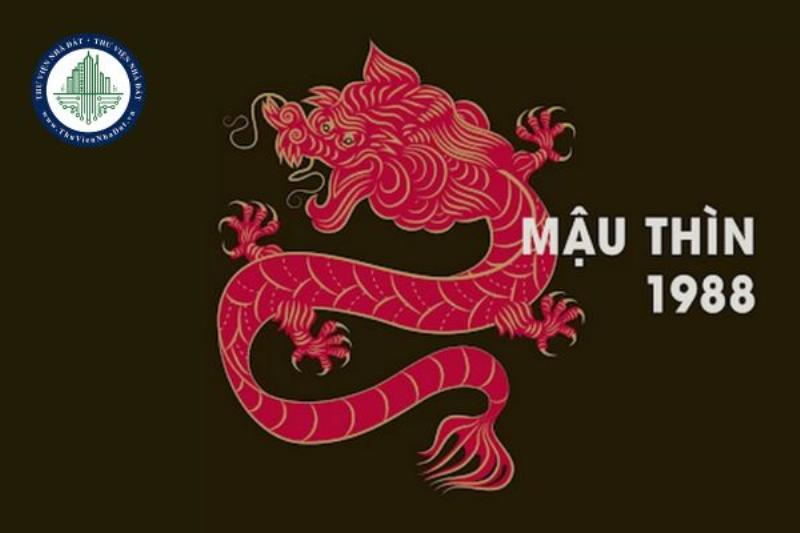Những lưu ý quan trọng cho tuổi Mậu Thìn 1988 năm 2025