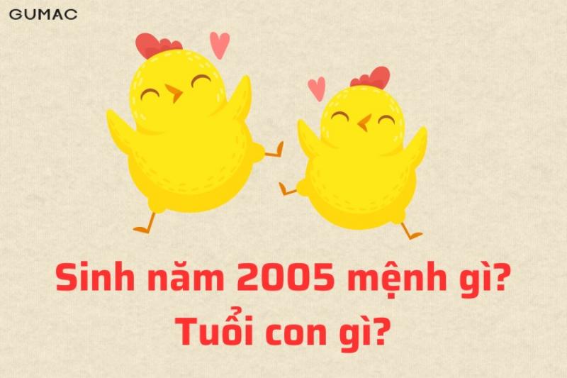 Màu sắc may mắn cho tuổi Dậu 2005