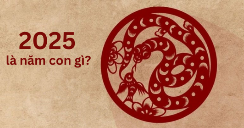 Năm 2025 Tuổi Nào Kim Lâu? Giải Đáp Chi Tiết 3 Danh sách tuổi không phạm kim lâu năm 2025