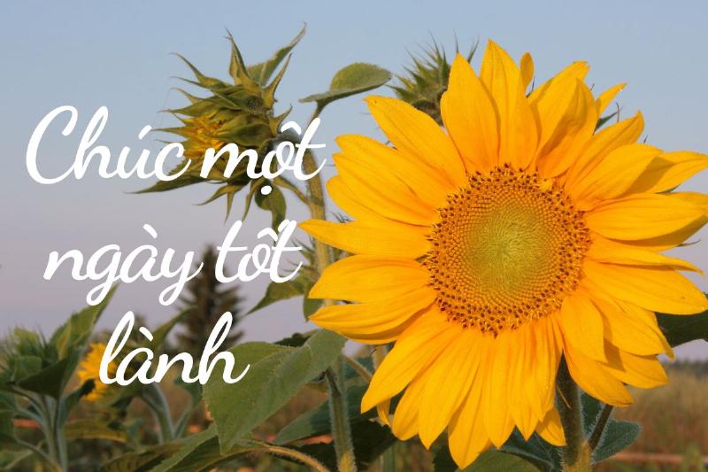 Tạo Ngày Mới Tốt Lành