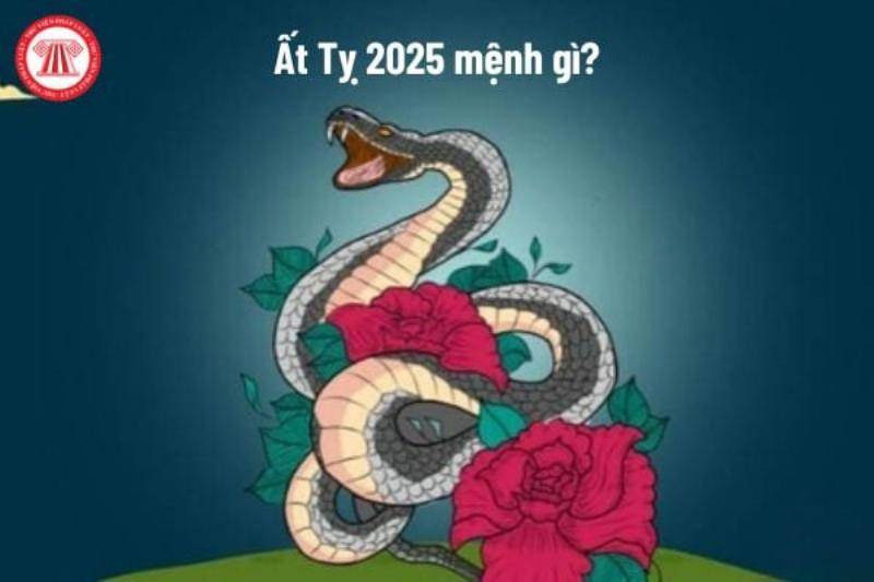 Tử vi Ất Tỵ 2025 nam mạng tình cảm