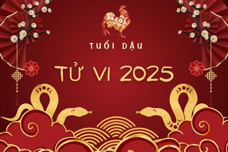 Tử vi tuổi Đậu 1981 năm 2025 về tài lộc