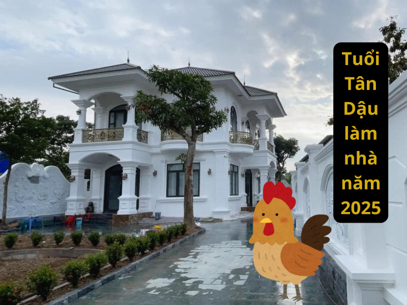 Tuổi 1981 Làm Nhà Năm 2025: Phong Thủy