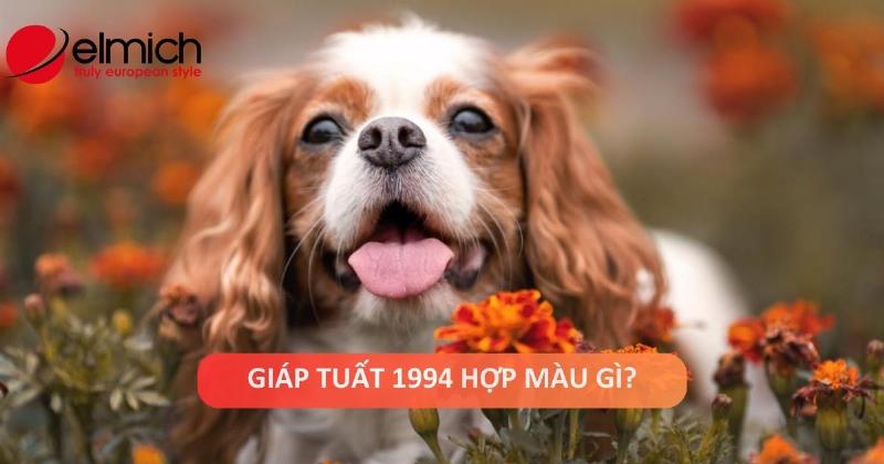 Tuổi Tuất 1994 Hợp Màu Gì 2025: Bí Quyết May Mắn 3 Tuổi Tuất 1994 hợp màu gì 2025 - Phụ kiện