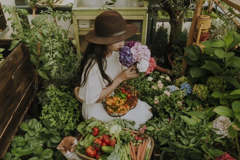 Chăm sóc khu vườn xanh mướt