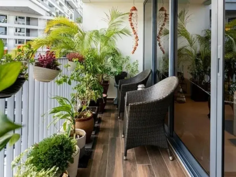 Cây Trồng Ban Công Chịu Nắng: Hoa Giấy