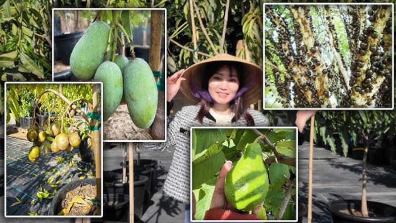 Hà Nàm Là Con Gì? Giải Mã Bí Ẩn Về Loài Vật Huyền Thoại 2 Hà nàm trong vườn nhà