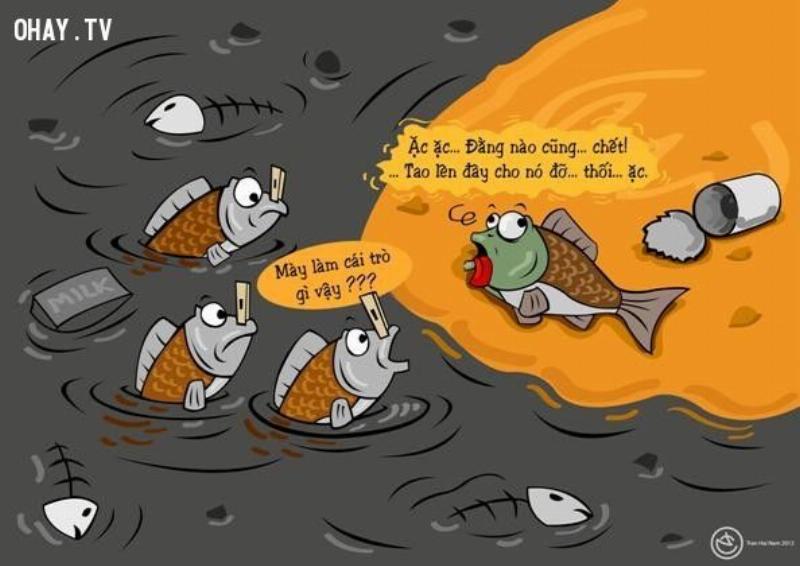 Hình Bảo Vệ Môi Trường: Câu Chuyện Của Chúng Ta 2 Hình Ảnh Về Ô Nhiễm Môi Trường Biển