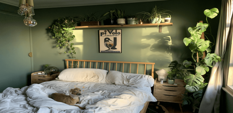 Lựa chọn màu sắc cho phòng ngủ nhỏ