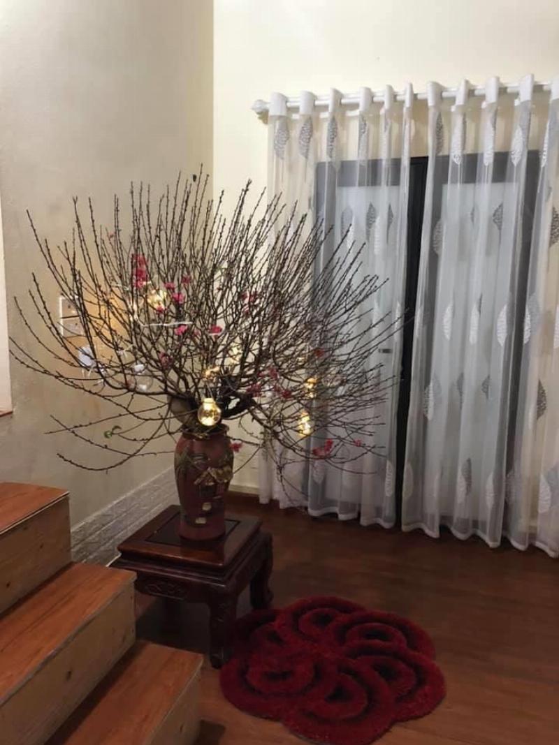 Tiểu cảnh Tết xưa với cây đào, cây mai