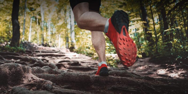 Xác Định Đối Tượng Độc Giả Khi Xây Dựng Nội Dung