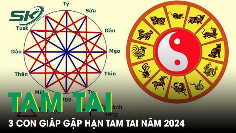 Tuổi Tam Tai Năm 2024: Ai Gặp Hạn Và Làm Sao Để Bình An Vượt Qua? 3 Ba con giáp Thân Tý Thìn gặp hạn tam tai năm 2024 minh họa