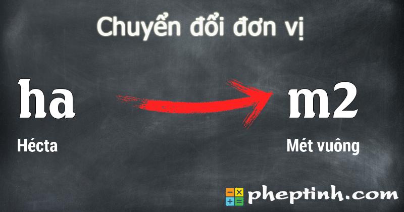 chuyen doi 1 hecta sang met vuong 68177f.webp