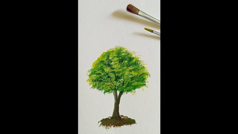 Vẽ Cây Xanh Đơn Giản: Hướng Dẫn Chi Tiết Cho Người Mới Bắt Đầu 4 ve-cay-xanh-don-gian-to-mau-huong-dan-to-mau